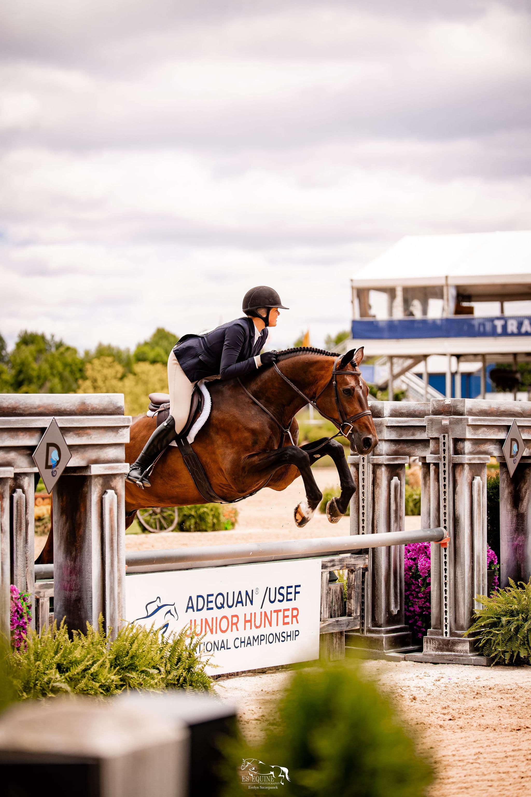 Holland Equestrian