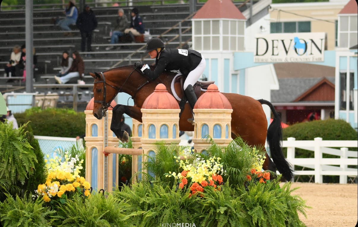 Holland Equestrian
