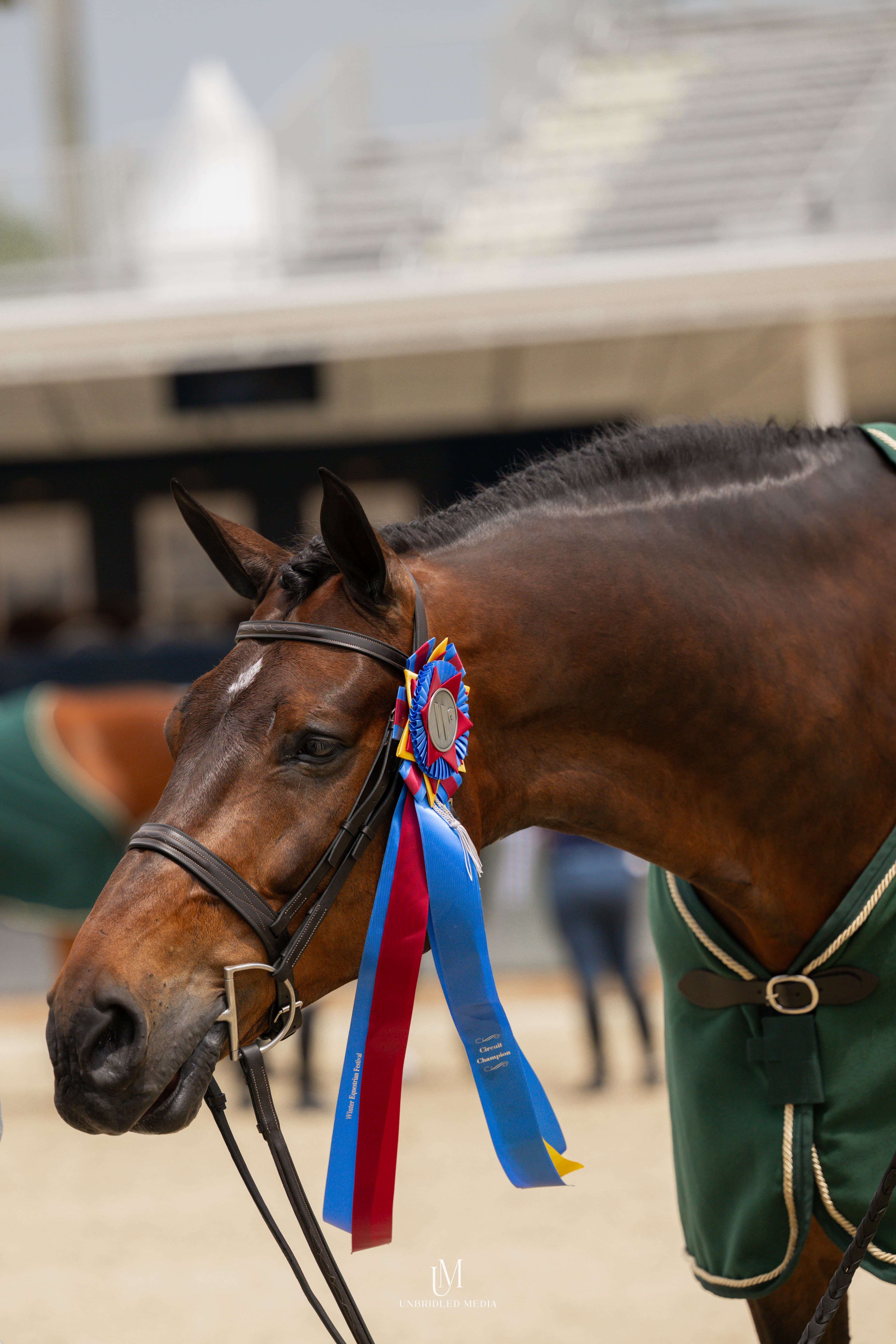 Holland Equestrian