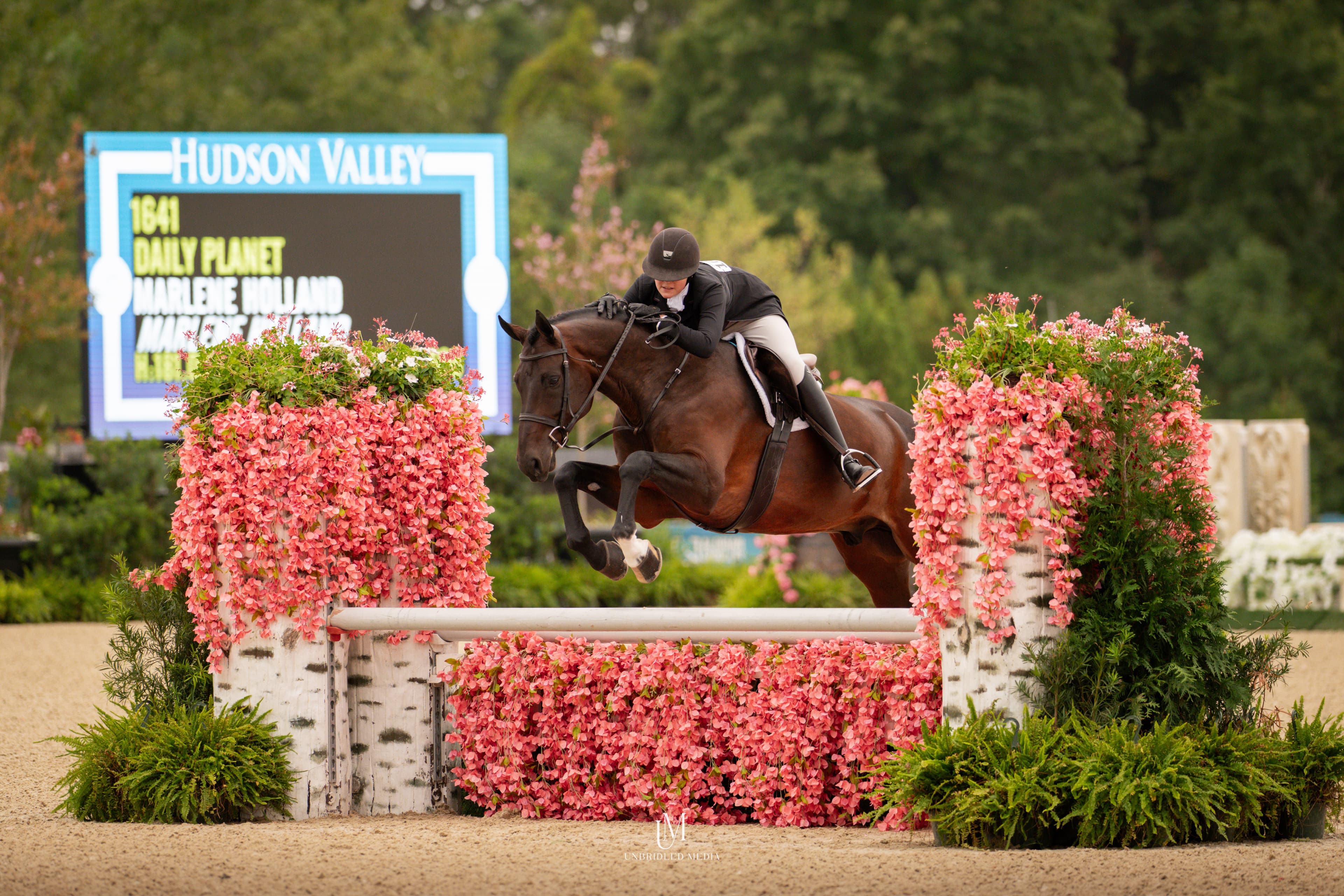 Holland Equestrian