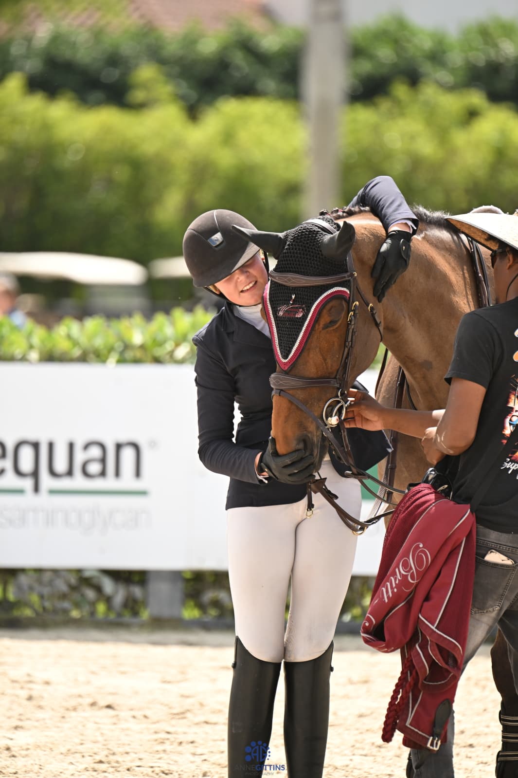 Holland Equestrian