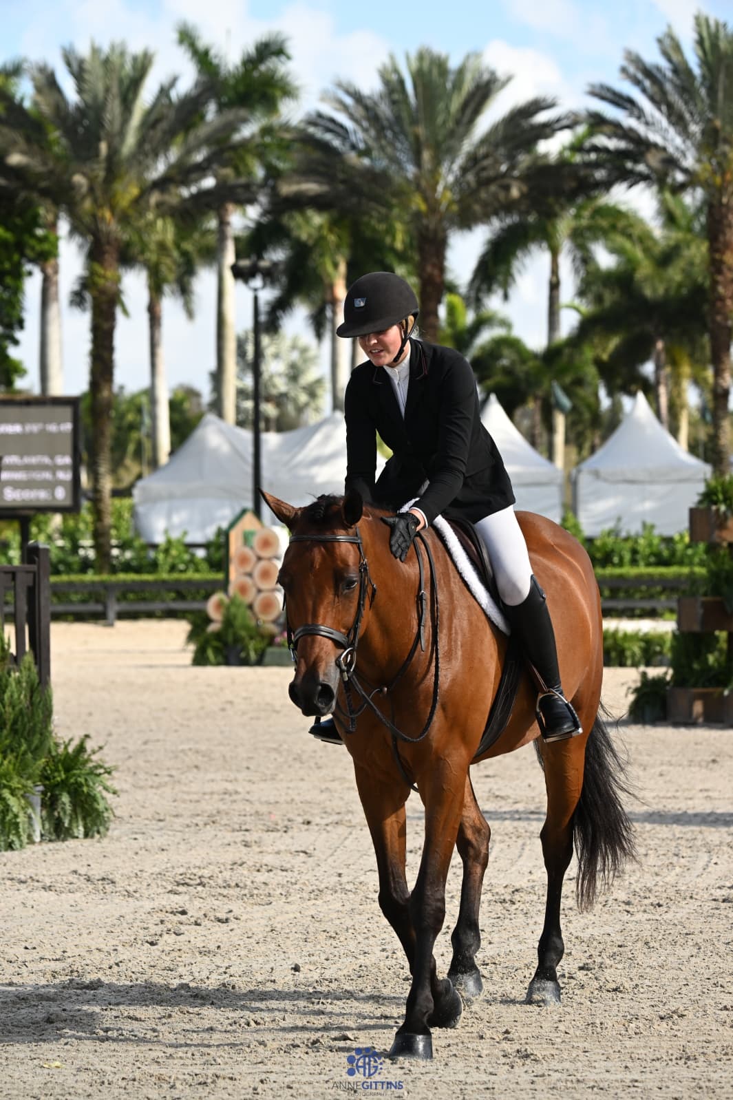 Holland Equestrian