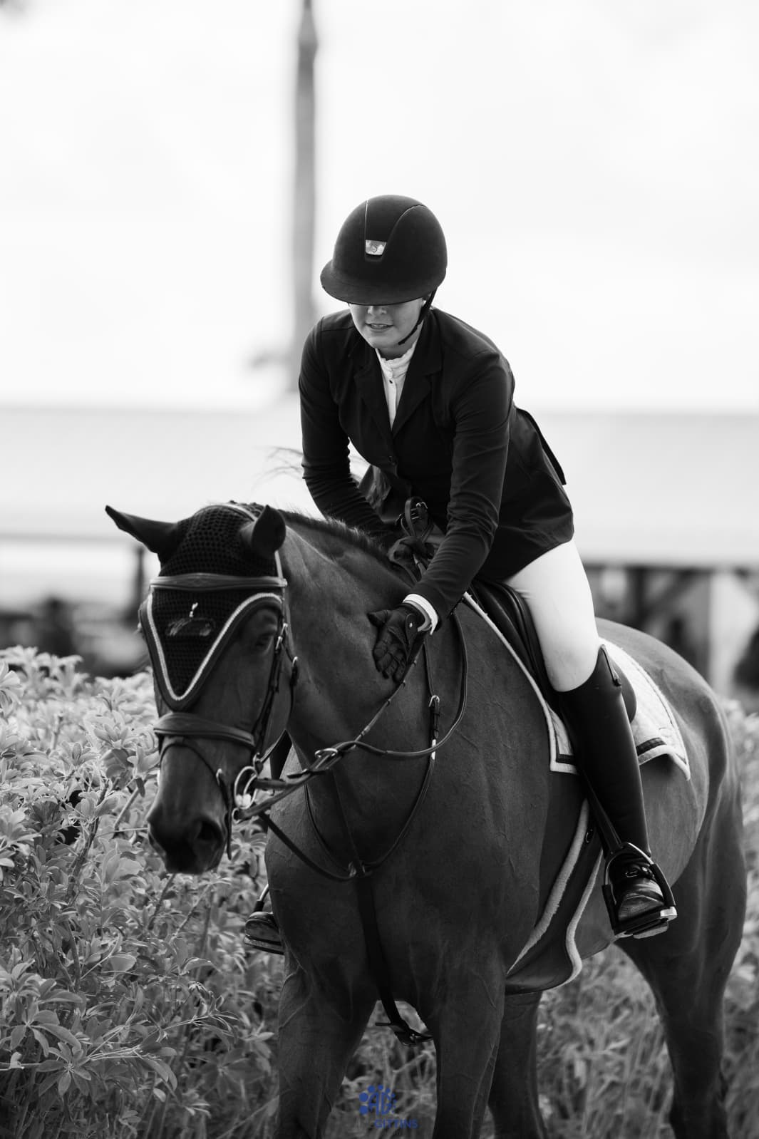 Holland Equestrian
