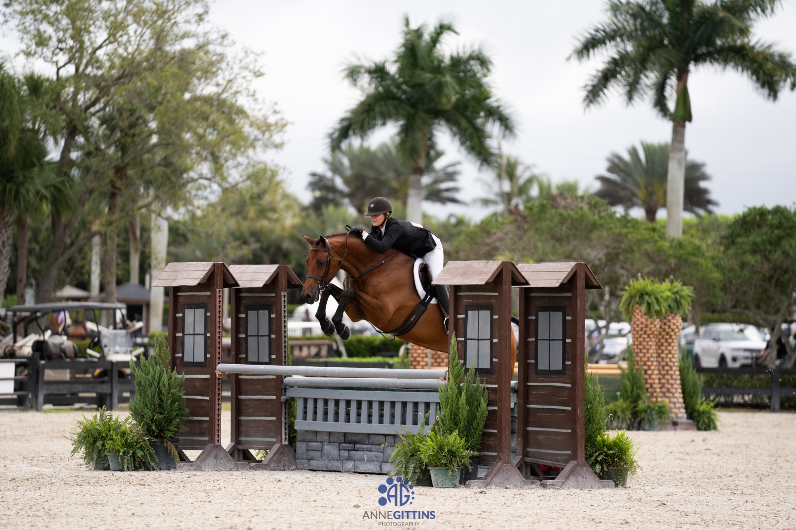 Holland Equestrian
